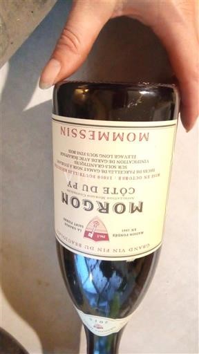 Beaujolais Morgon Mommesin Cote du Py Senza annata