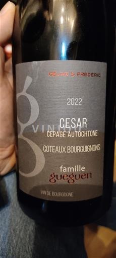 Burgundy Coteaux Bourguignons Famille Gueguen César Cépage Autochtone 2022