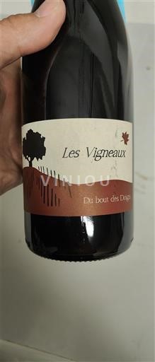 Valle della Loira Non specificato Les Vigneaux Du bout des Doigts 2024