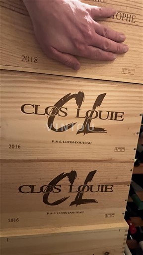 Bordeaux Castillon-côtes-de-bordeaux Clos Louie 2016
