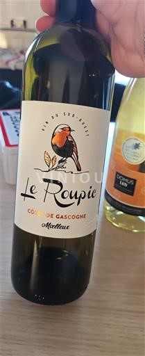 Sud-Ouest Côtes de Gascogne Le Roupic Non Millésimé