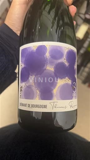 Burgund Crémant de Bourgogne Thomas Regnaud Ohne Jahrgang