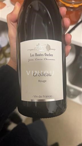 Loiredalen Ospecificerad Les Hautes Ouches Grolleau Icke årgångsbetecknad