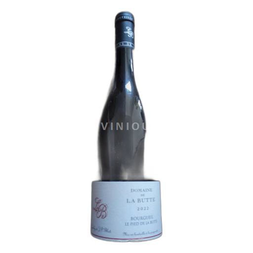 Loire Valley Bourgueil Domaine de la Butte Le Pied de la Butte 2022