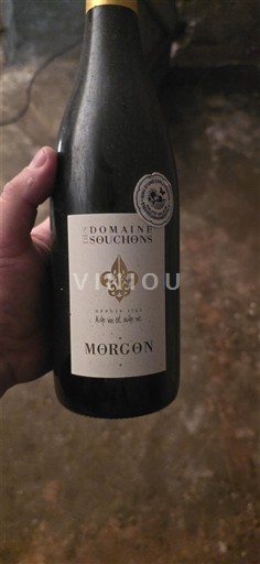 Beaujolais Morgon Domaine Des Souchons Ei vuosikertaa