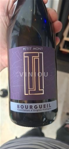 Loiren laakso Bourgueil Petit Mont Ei vuosikertaa