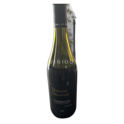Loire Valley Bourgueil Domaine Delanoue Vieilles Vignes 2023