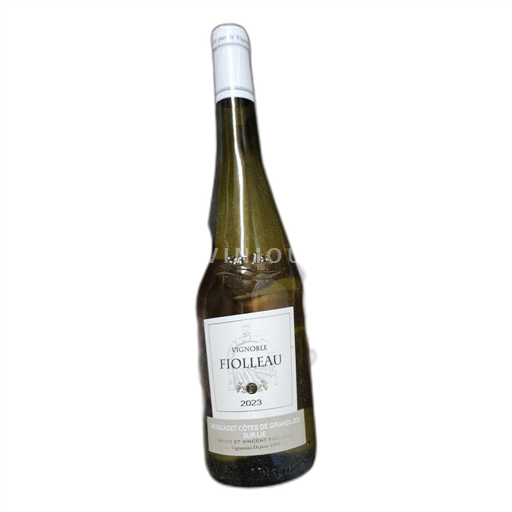 Loire Valley Muscadet-Côtes-de-Grand-Lieu Vignoble Fiolleau 2023