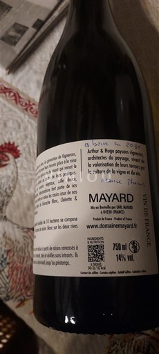 Provenza Mayard 2024