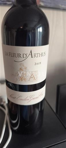 Bordeaux Saint-Émilion Grand Cru La Fleur Arthus 2019