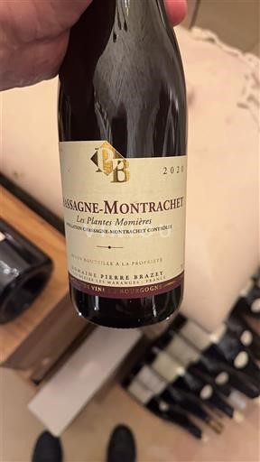 Burgundi Chassagne-Montrachet Pierre Brazey Les Plantes Monnières 2020