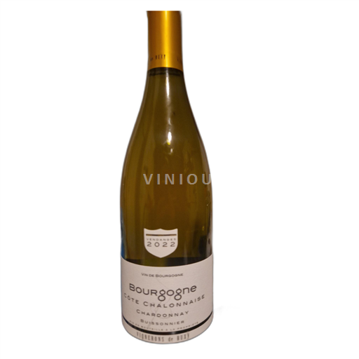 Burgundsko Bourgogne-Côte-Chalonnaise Cave de Buxy Buissonnier 2022