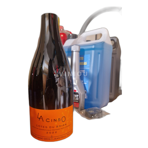 Languedoc-Roussillon Côtes du Brian Domaine Anne Gros et Jean-Paul Tollot La CinsO Côtes du Brian 2022