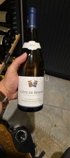 Bourgondië Côte-de-Beaune Domaine Lycée Viticole 2023