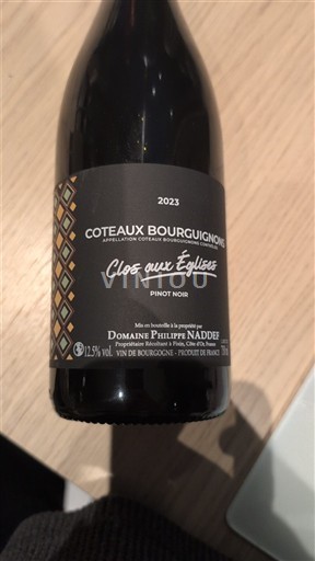 Burgundy Coteaux Bourguignons Domaine Philippe Naddef Clos aux Eglises 2023