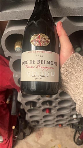 Bourgogne Bourgognebackar Jean Loron Duc de Belmont 2014