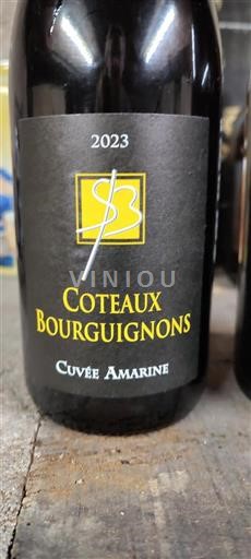 Burgundy Coteaux Bourguignons Domaine Amarine 2023
