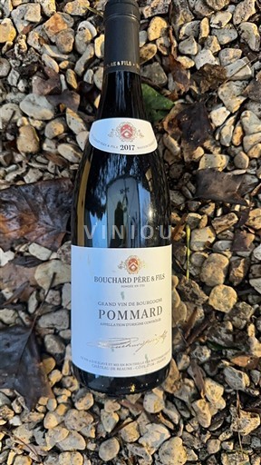 Borgoña Pommard Domaine Bouchard Père & Fils 2017