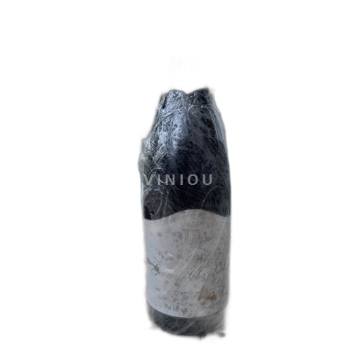 Borgogna Gevrey-Chambertin Domaine Thierry Mortet 2021