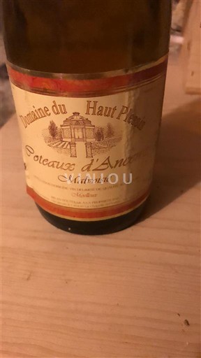 Dolina Loare Coteaux d'Ancenis Domaine Haut Plessis Moelleux 2010