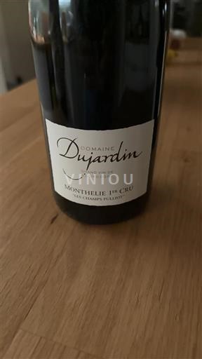 Burgundy Unspecified Premier Cru Domaine Dujardin Les Champs Fulliots 2015