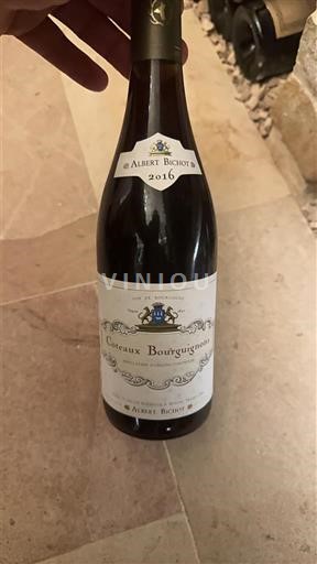 Burgundi Burgundin rinteet Albert Bichot 2016