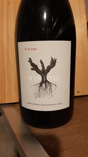 Castela e Leão Ribera del Duero PSI 2020