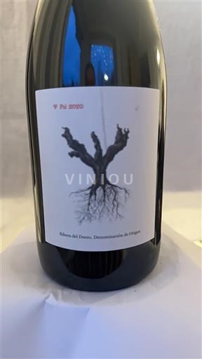 Castille và León Ribera del Duero PSI 2020