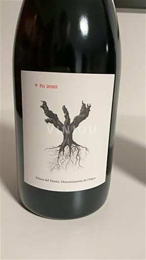 Castilla y León Ribera del Duero PSI 2020