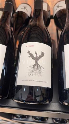 Castilia și León Ribera del Duero PSI 2020