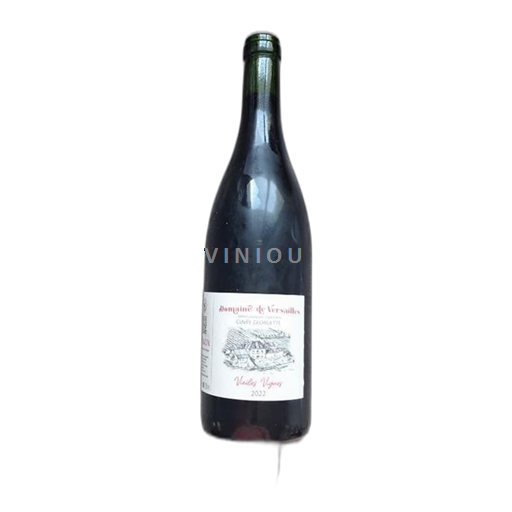 Vallée de la Loire Chinon Domaine de Versailles Georgette 2022