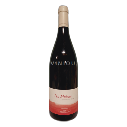 Vallée de la Loire Bourgueil Domaine de la Chevalerie Peu Muleau 2018