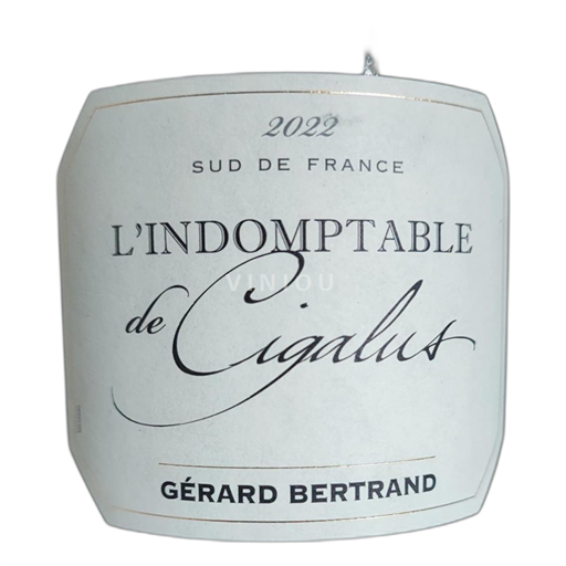 Languedoc-Roussillon Cité de Carcassonne L'indomptable de Cigalus cigalus 2022