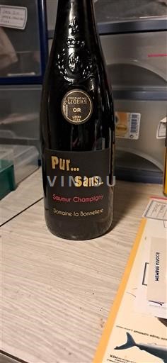 Loiredalen Saumur-champigny Domaine La Bonnelière Pur... Sans... 2023