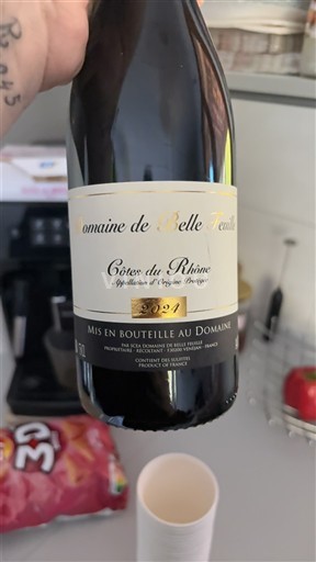 Valle del Ródano Côtes del Ródano Domaine de Belle Feuille 2021