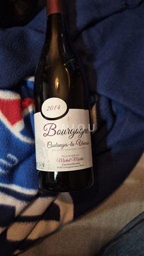 Bourgogne Bourgogne Coulanges-la-Vineuse Michel Martin 2014