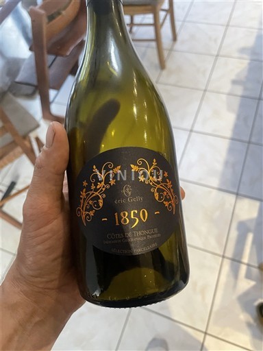 Languedoc-Roussillon Côtes de Thongue Éric Gelly 1850 Niet-geïntegreerd