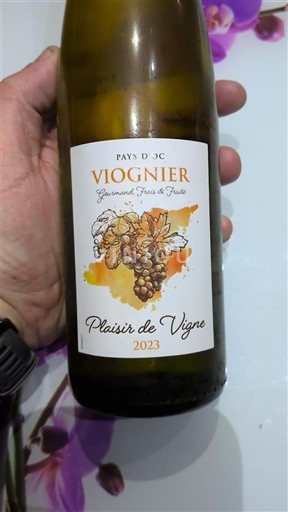 Linguadoca e Rossiglione Paese d'Oc Plaisir de Vigne 2023