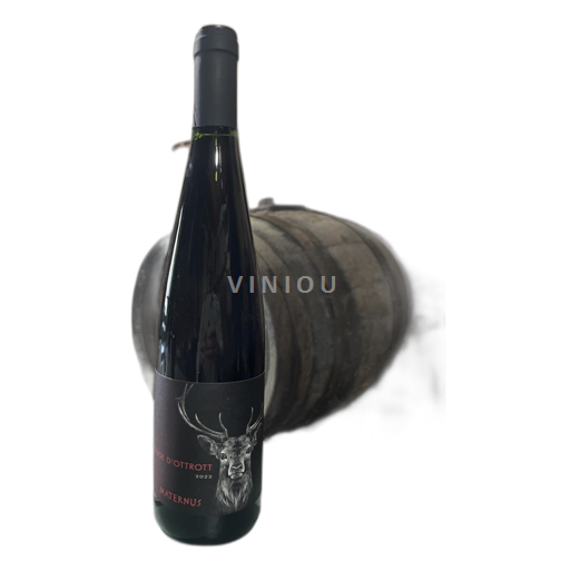 Alsace Pinot Noir Les Coteaux de Ste Odile 2022