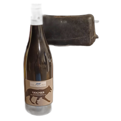 Dolina Loare Dunaj Famille Cort 2019