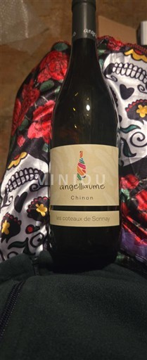 Loire-dalen Chinon Angelliaume Les coteaux de Sonnay 2023