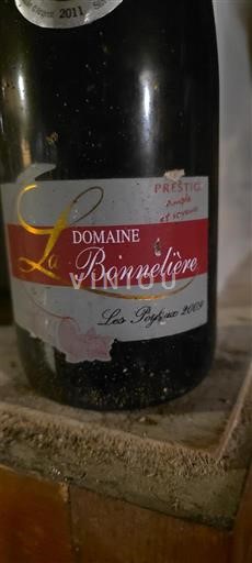 Vallée de la Loire Saumur-champigny Domaine La Bonnelière Les Poyeux 2009