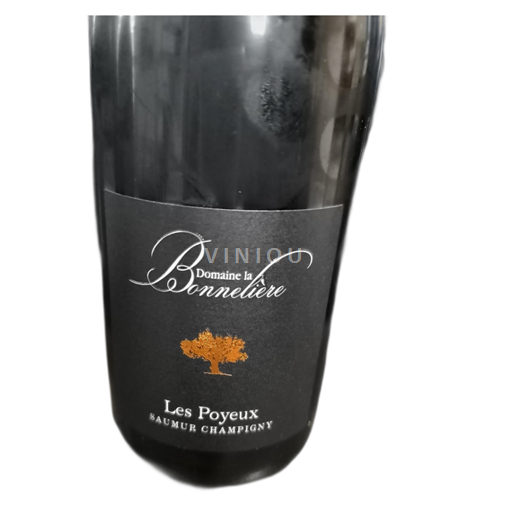 Loire Valley Saumur-Champigny Domaine La Bonnelière Les Poyeux 2021