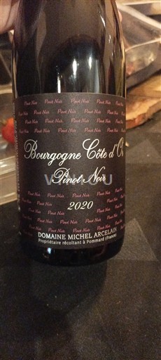 Burgundy Burgundy Côte d'Or Domaine Michel Arcelain 2020