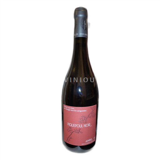 Languedoc Ampelhus 2023