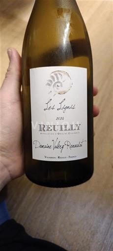 Viinit Blanc sec Les Lignis Domaine Valéry Renaudat 2020 Ranska Loiren laakso Reuilly AOC