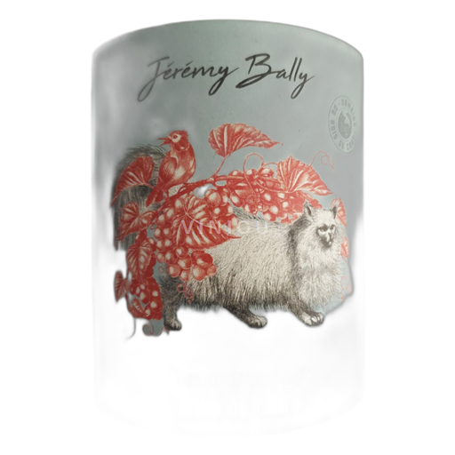 Beaujolais Jérémy Bally 2023