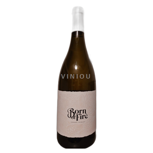 Kap Sydkyst Elgin Sophie Schaal Born of fire 2022