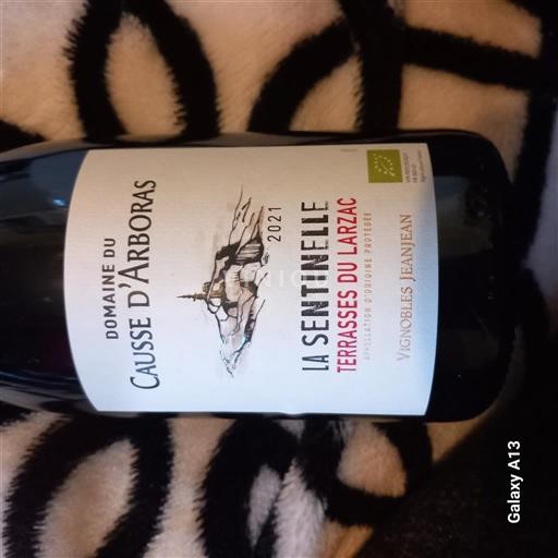 Languedoc Terrasses-du-larzac Domaine Cause Arboras La Sentinelle 2021