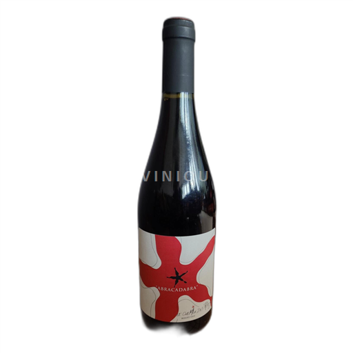 Languedoc Pic-saint-loup Le Chemin des Rêves Abracadabra 2021